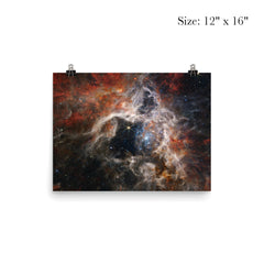 Tarantula Nebula taken by James Webb Space Telescope poster 3
