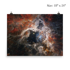 Tarantula Nebula taken by James Webb Space Telescope poster 5