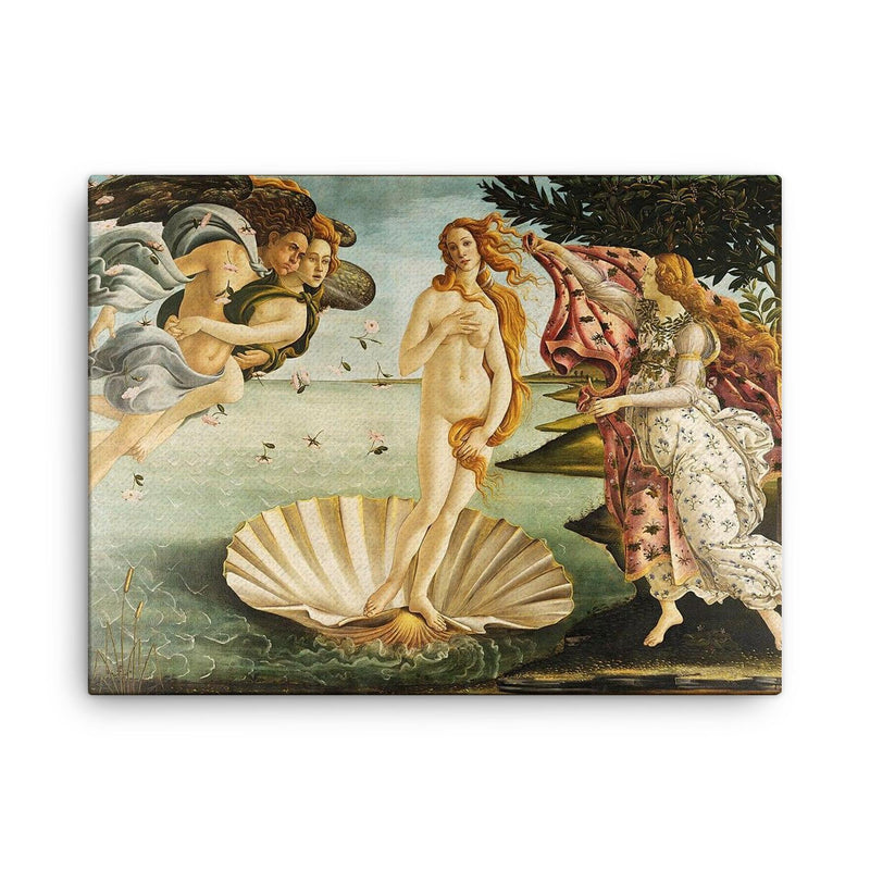 The Birth of Venus canvas print on a plain backdrop in size 18