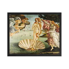 The Birth of Venus framed print on a plain backdrop in size 16"x20".
