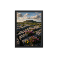 The Burren Karst County Clare Ireland framed print on a plain backdrop in size 12"x16".