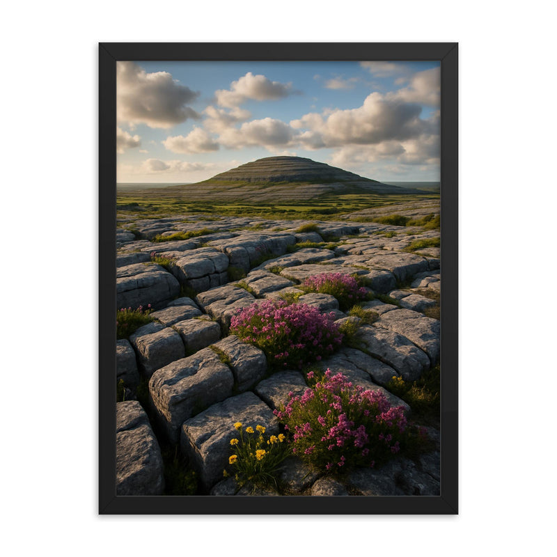 The Burren Karst County Clare Ireland framed print on a plain backdrop in size 18