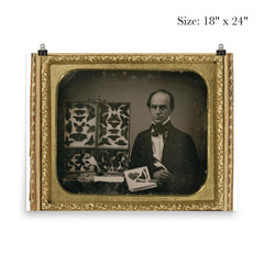 The Butterfly Collector, 1850s poster 5