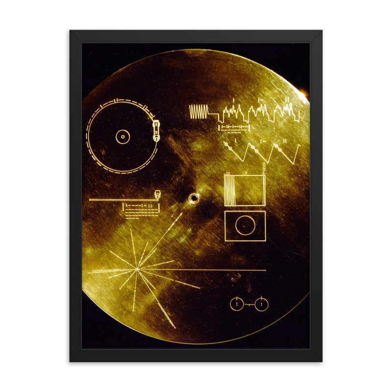 The cover of the Voyager Golden Record - The Sounds of Earth framed print on a plain backdrop in size 18