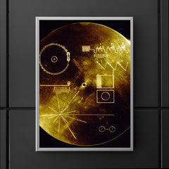 The cover of the Voyager Golden Record - The Sounds of Earth poster 5