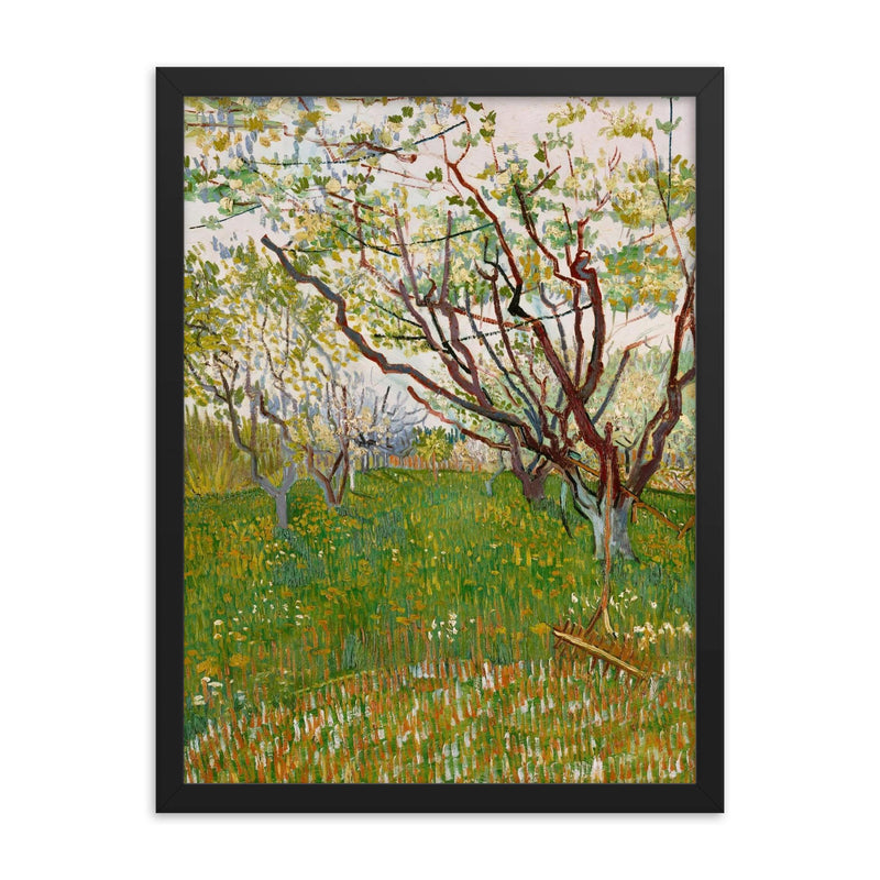 The Flowering Orchard by Vincent van Gogh, 1888 framed print on a plain backdrop in size 18