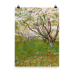 The Flowering Orchard by Vincent van Gogh, 1888 poster on a plain backdrop in size 8"x10".