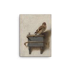 The Goldfinch by Carel Fabritius canvas print on a plain backdrop in size 12"x16".