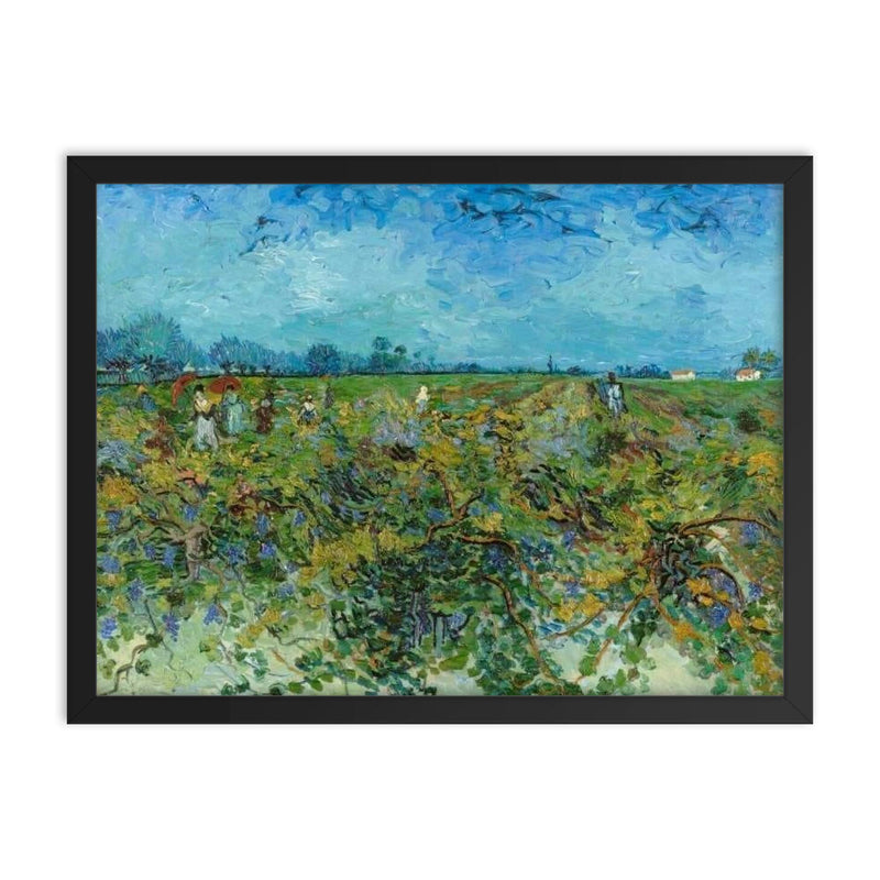 The Green Vineyard by Vincent van Gogh, 1888 framed print on a plain backdrop in size 18