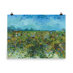 The Green Vineyard by Vincent van Gogh, 1888 poster on a plain backdrop in size 8"x10".