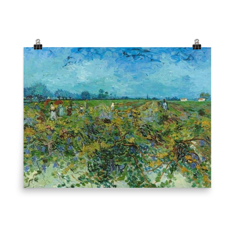 The Green Vineyard by Vincent van Gogh, 1888 poster on a plain backdrop in size 8
