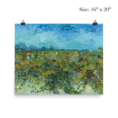 The Green Vineyard by Vincent van Gogh, 1888 poster 2