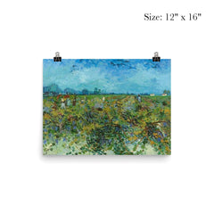 The Green Vineyard by Vincent van Gogh, 1888 poster 3