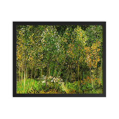The Grove by Vincent van Gogh, 1890 framed print on a plain backdrop in size 16"x20".