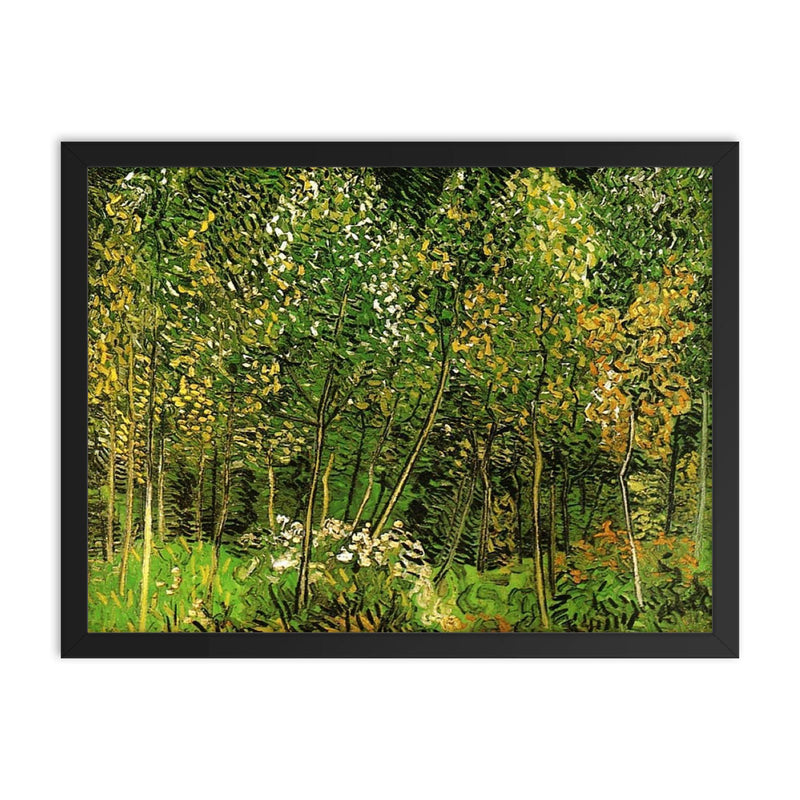 The Grove by Vincent van Gogh, 1890 framed print on a plain backdrop in size 18