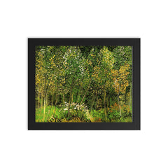 The Grove by Vincent van Gogh, 1890 framed print on a plain backdrop in size 8"x10".