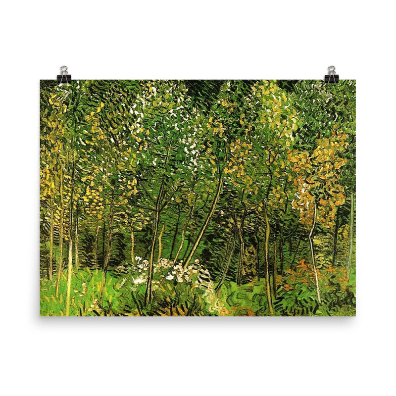 The Grove by Vincent van Gogh, 1890 poster on a plain backdrop in size 8