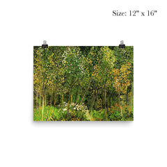 The Grove by Vincent van Gogh, 1890 poster 3