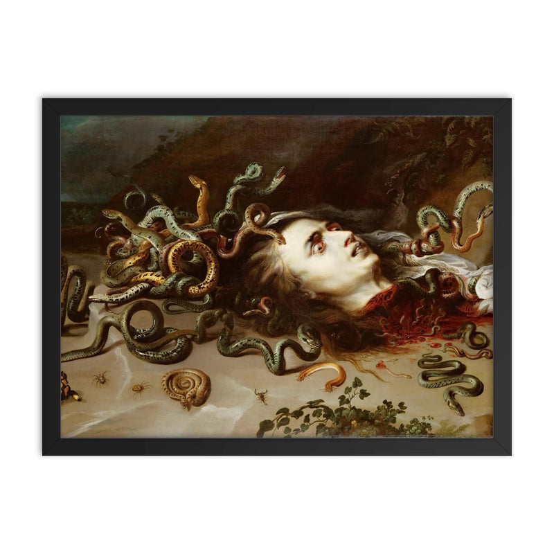 The Head of Medusa by Peter Paul Rubens, 1618 framed print on a plain backdrop in size 18