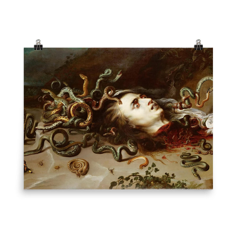 The Head of Medusa by Peter Paul Rubens, 1618 poster on a plain backdrop in size 8