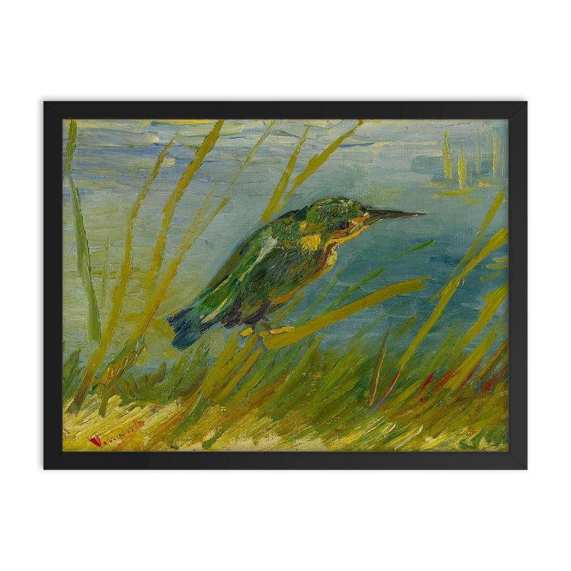 The Kingfisher by Vincent van Gogh framed print on a plain backdrop in size 18