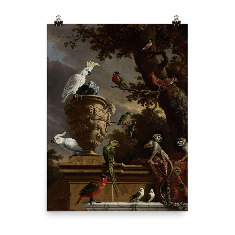 The Menagerie by Melchior d'Hondecoeter, 1690 poster on a plain backdrop in size 8