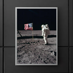 The Moon Landing poster 5