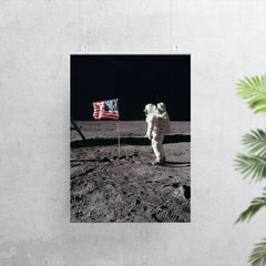 The Moon Landing poster 7