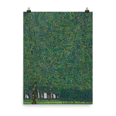 The Park by Gustav Klimt, 1910 poster on a plain backdrop in size 8"x10".