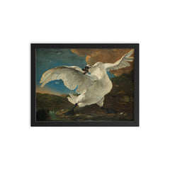 The Threatened Swan by Jan Asselijn, c. 1650 framed print on a plain backdrop in size 12"x16".