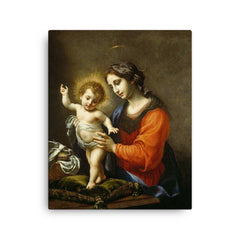 The Virgin and Child by Carlo Dolci canvas print on a plain backdrop in size 16"x20".
