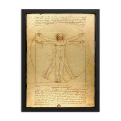The Vitruvian Man by Leonardo da Vinci framed print on a plain backdrop in size 18"x24".