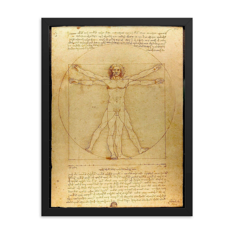 The Vitruvian Man by Leonardo da Vinci framed print on a plain backdrop in size 18