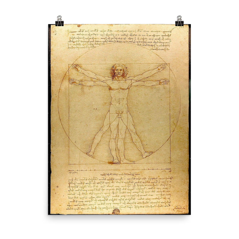 The Vitruvian Man by Leonardo da Vinci poster on a plain backdrop in size 8
