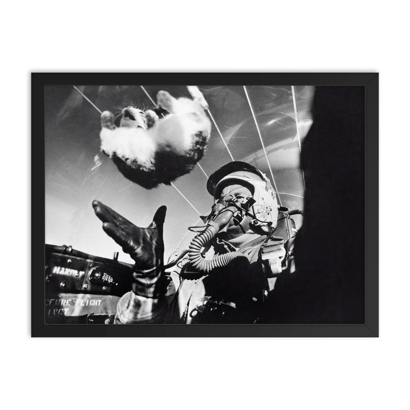 The Weightless Cat Experiment in an F-94C Cockpit, 1958 framed print on a plain backdrop in size 18