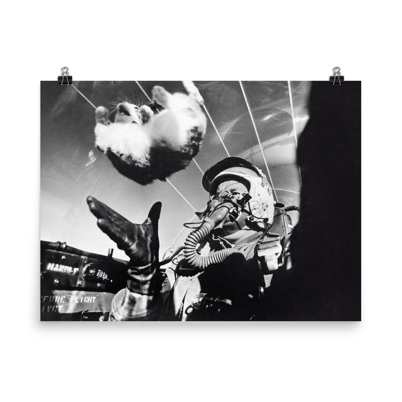 The Weightless Cat Experiment in an F-94C Cockpit, 1958 poster on a plain backdrop in size 8