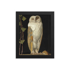 The White Owl by William James Webbe, 1856 framed print on a plain backdrop in size 8"x10".