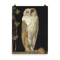 The White Owl by William James Webbe, 1856 poster on a plain backdrop in size 8"x10".