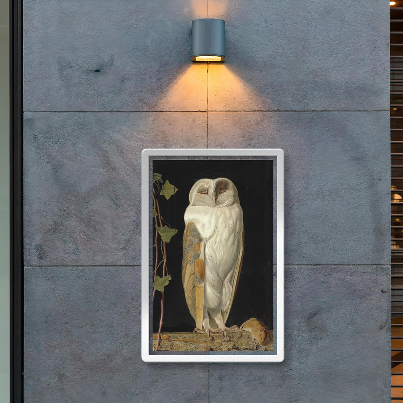 The White Owl by William James Webbe, 1856 poster 2