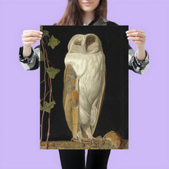 The White Owl by William James Webbe, 1856 poster 3