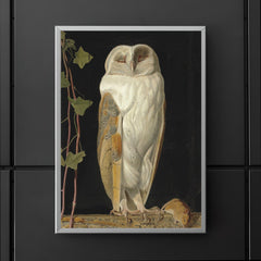The White Owl by William James Webbe, 1856 poster 5