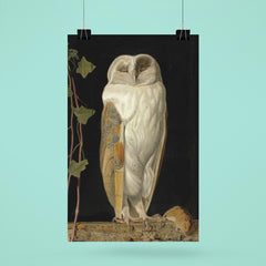 The White Owl by William James Webbe, 1856 poster 6