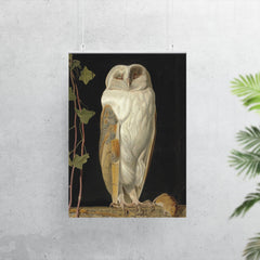 The White Owl by William James Webbe, 1856 poster 7