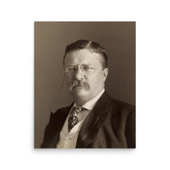 Theodore Roosevelt poster on a plain backdrop in size 16"x20".