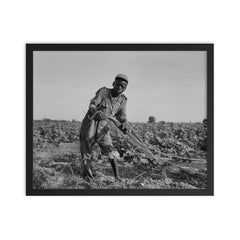 Thirteen-year old sharecropper boy near Americus, Georgia by Dorothea Lange framed print on a plain backdrop in size 16"x20".