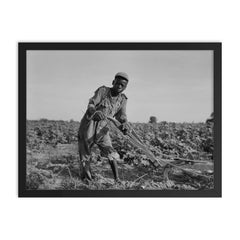 Thirteen-year old sharecropper boy near Americus, Georgia by Dorothea Lange framed print on a plain backdrop in size 18"x24".