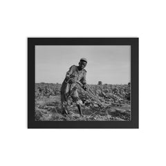 Thirteen-year old sharecropper boy near Americus, Georgia by Dorothea Lange framed print on a plain backdrop in size 8"x10".