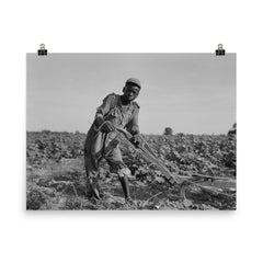 Thirteen-year old sharecropper boy near Americus, Georgia by Dorothea Lange poster on a plain backdrop in size 8"x10".