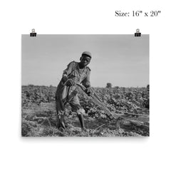 Thirteen-year old sharecropper boy near Americus, Georgia by Dorothea Lange poster 2