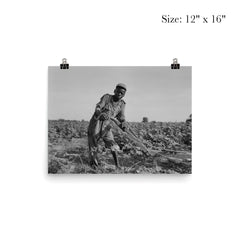 Thirteen-year old sharecropper boy near Americus, Georgia by Dorothea Lange poster 3